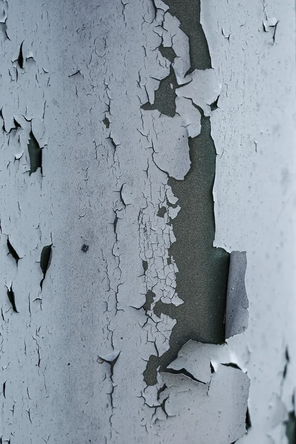 Abgeblättert.webp