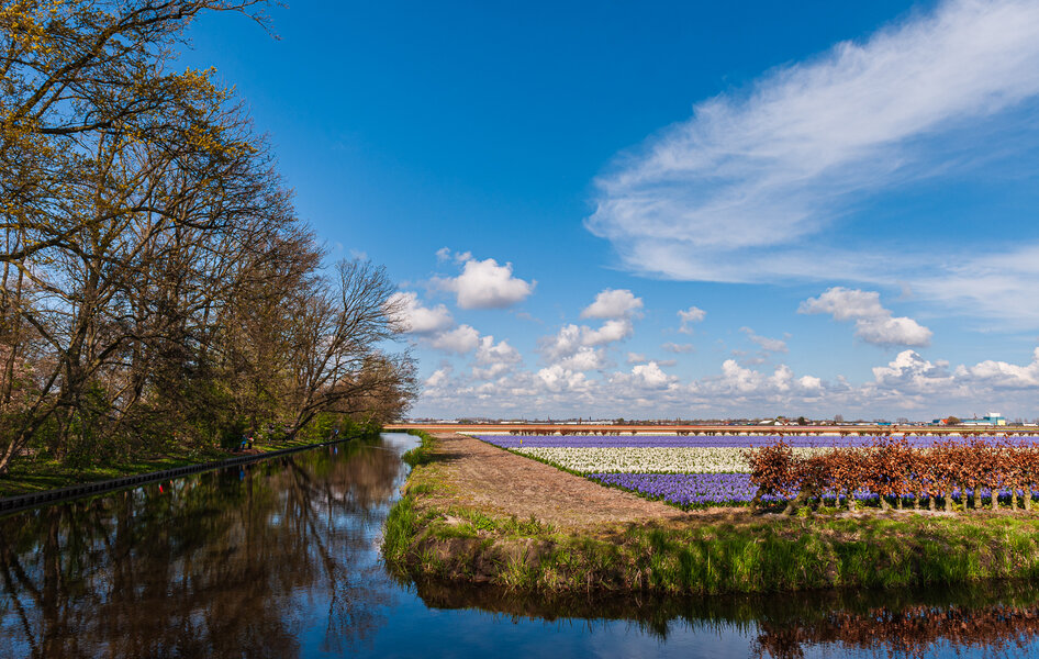 Keukenhof 21.04.12_0133.jpg