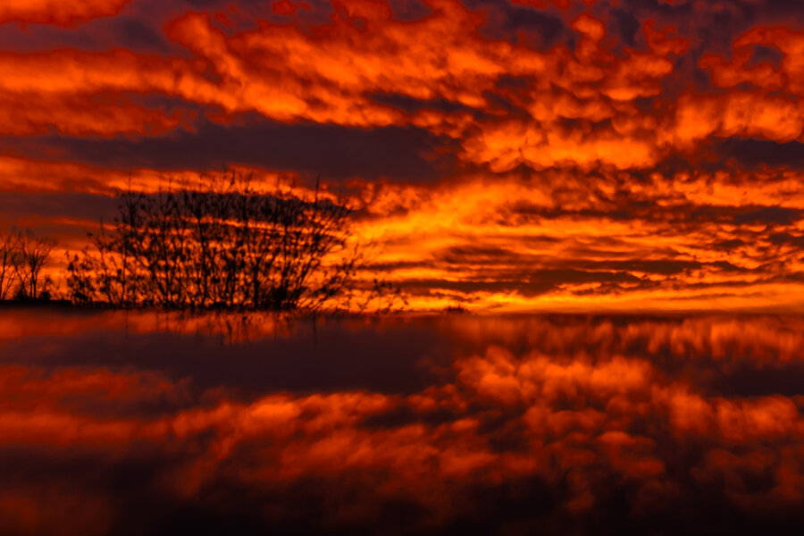 UMA_4878.jpg UMA_4878.jpg