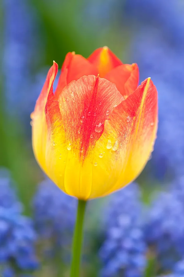 April 2014-101_DxO-Bearbeitet.webp