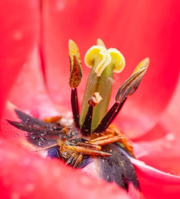 April 2014-122_DxO-Bearbeitet.webp