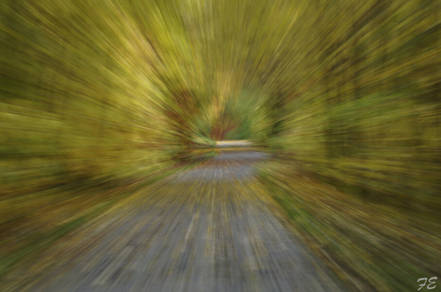 _IGP8687_DxO.jpg _IGP8687_DxO.jpg