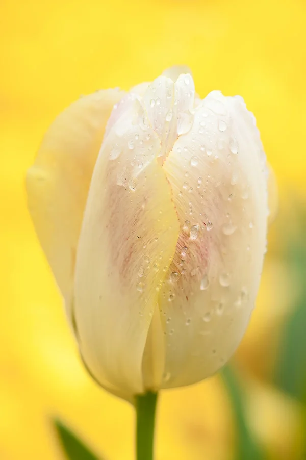 April 2014-110_DxO-Bearbeitet.webp