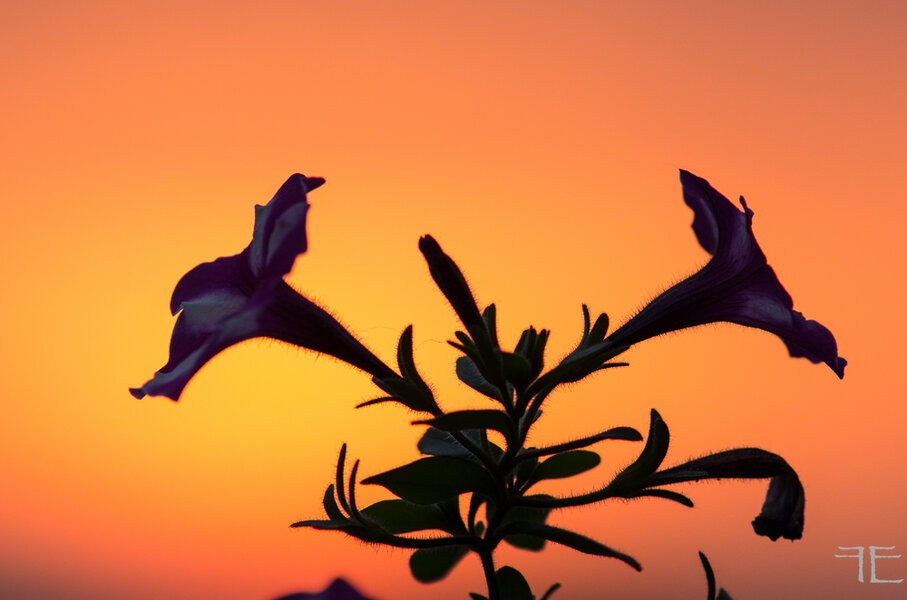 2018-06-07 21.30.29.jpg 2018-06-07 21.30.29.jpg