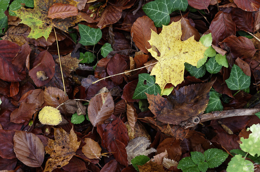 _IGP2186_DxO.jpg _IGP2186_DxO.jpg