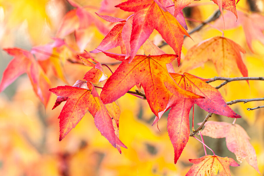 1211_Allwetter Zoo Münster 17.11.12_249.jpg 1211_Allwetter Zoo Münster 17.11.12_249.jpg