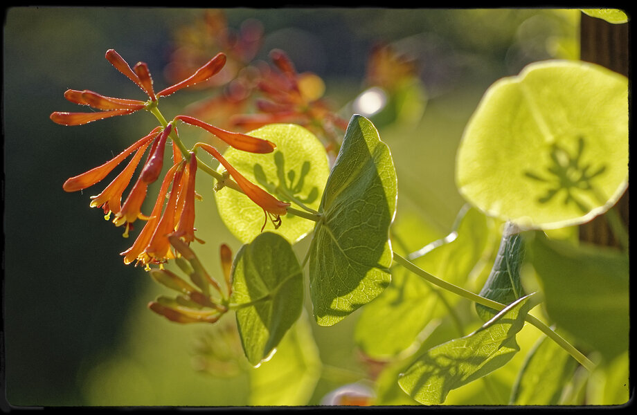 _IGP4277_DxO.jpg _IGP4277_DxO.jpg