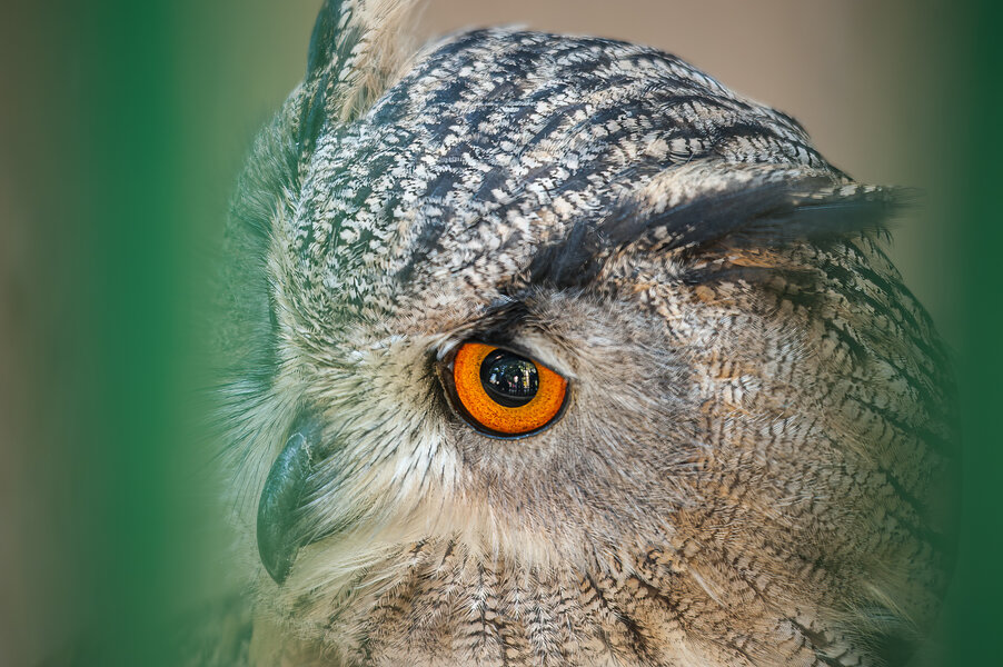 Hellenthal 03.10.11_0089_DxO-Bearbeitet.jpg Hellenthal 03.10.11_0089_DxO-Bearbeitet.jpg