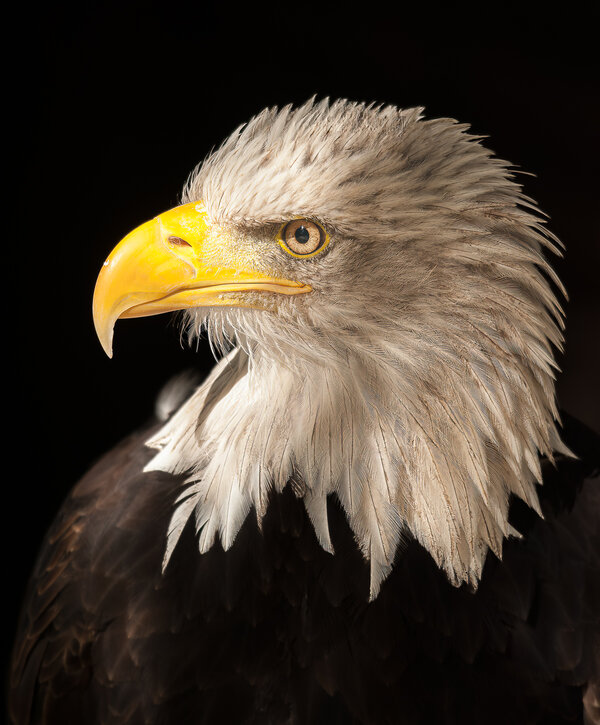 Hellenthal 09.10.10_0093_DxO-Bearbeitet.jpg Hellenthal 09.10.10_0093_DxO-Bearbeitet.jpg