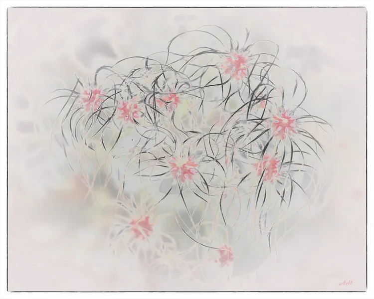ci_A7409072_art.webp