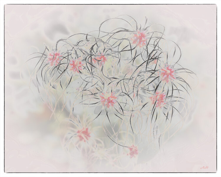 ci_A7409072_art.jpg