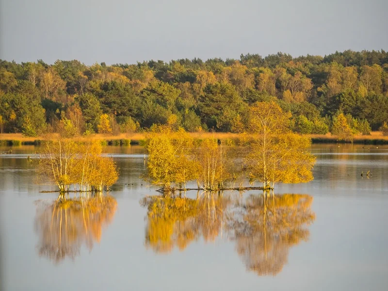 PA180052.webp