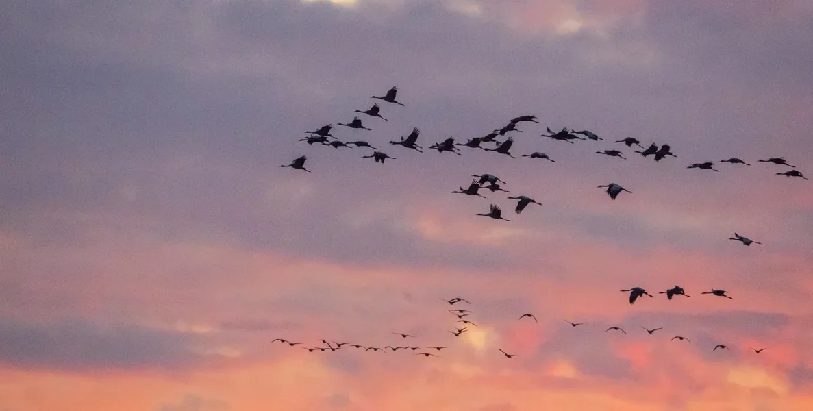 PA180228.jpg