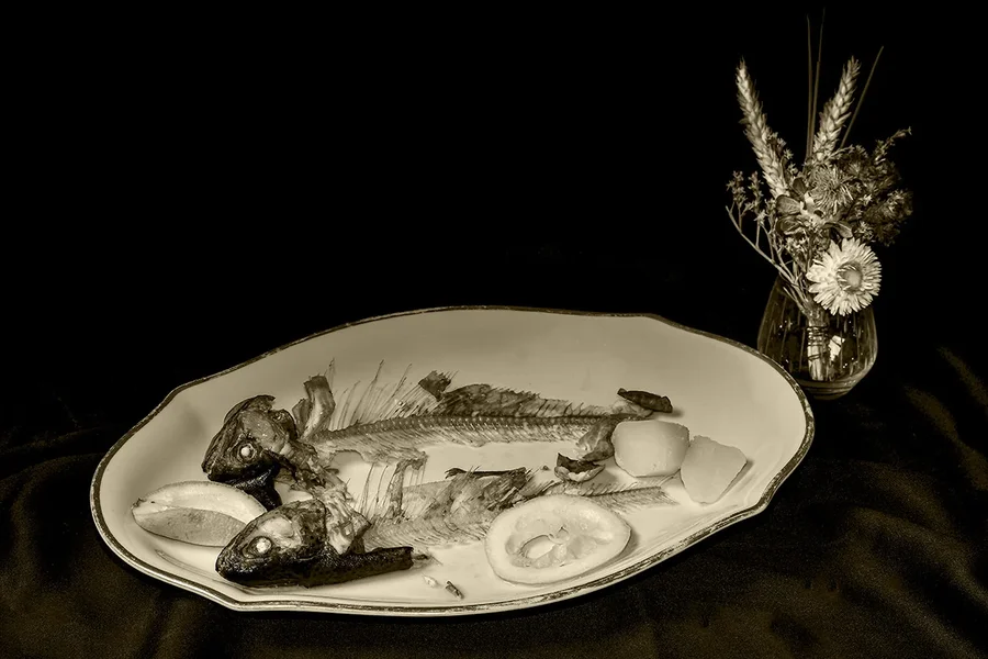 Forellen 2 sepia NIK_6061.jpg