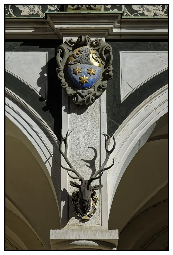 _IGP7916_DxO.webp