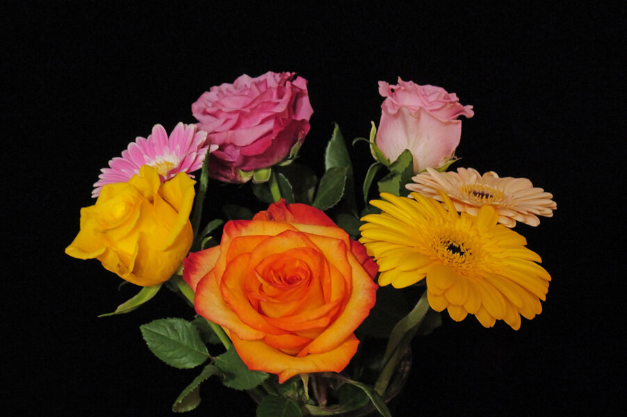 BlumenreigenGROSSmohneGlasansatzSL32490.jpg