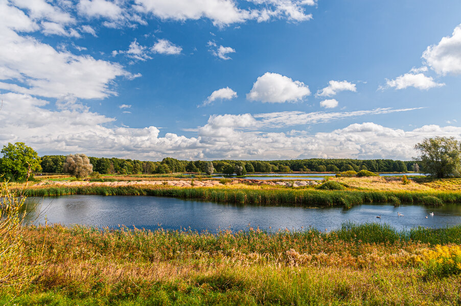 Müritz September 2014-233.jpg