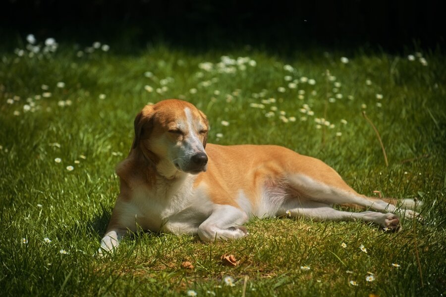 Nike-1000px.jpg Nike-1000px.jpg