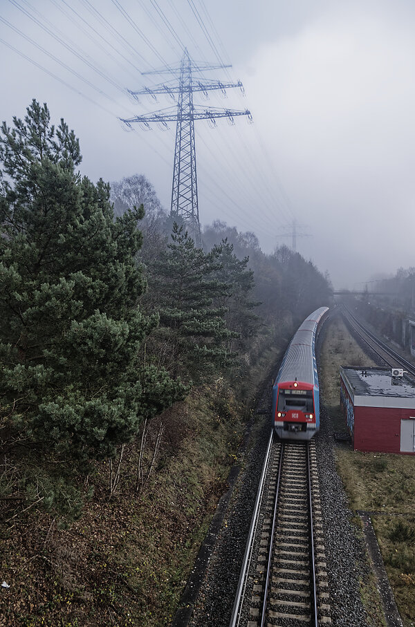 _IGP8155_DxO.jpg