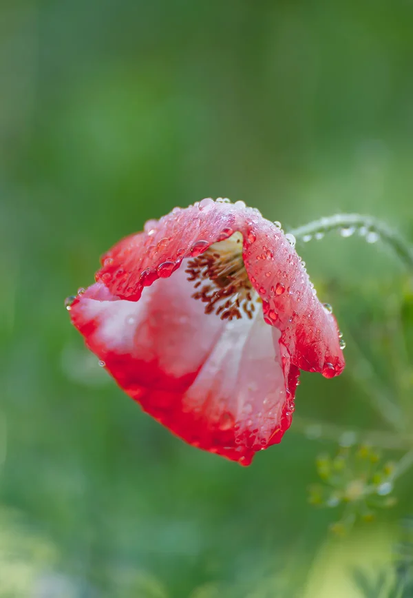 Oktober 2013 (38 von 88)_DxO-Bearbeitet.webp