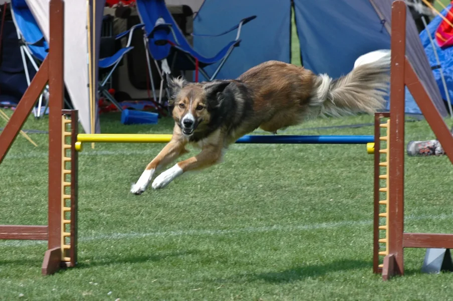 DSC_4055.webp