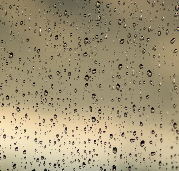 Raindrops-3.webp