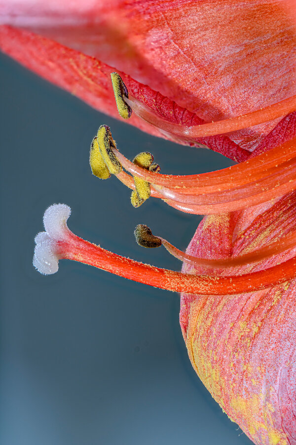 (Z52_0671C,S5)30_A.jpg