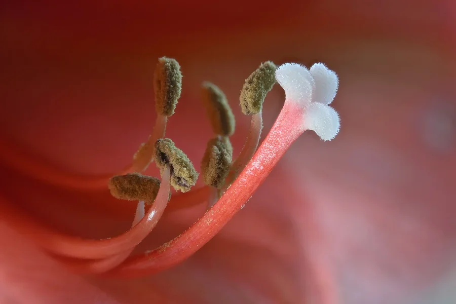 (Z52_0731C,S5)20.webp