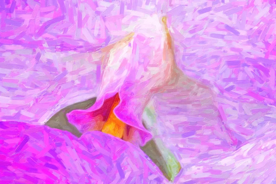 OrchideenWeissRosaDreiStückSL3Si105MacFINFINFINCROPArt.webp
