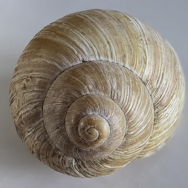(_HZ92356C,S8)30 Kopie klein.webp