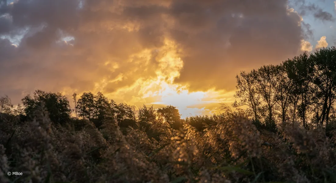 _DSC2773.webp