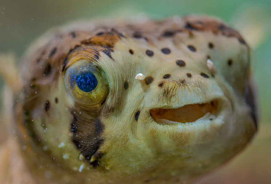 Lübeck Mai 2015_0464_DxO-Bearbeitet-Bearbeitet.jpg