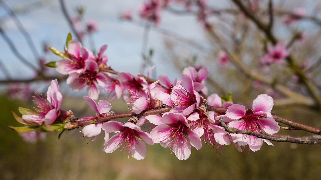 ci_A7402050.jpg
