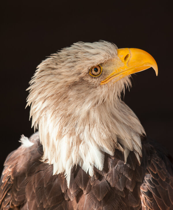 Hellenthal 09.10.10_0088_DxO.jpg