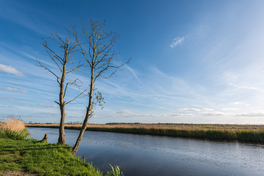 Nehringen Mai 2015_0852.jpg Nehringen Mai 2015_0852.jpg