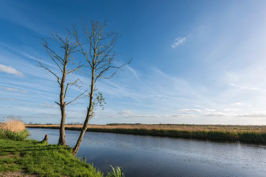 Nehringen Mai 2015_0852.webp