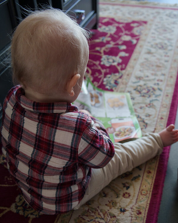 ci_A7402401.jpg
