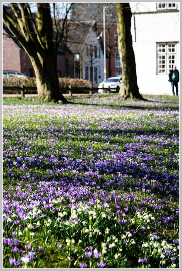 _DMB9037.jpg _DMB9037.jpg