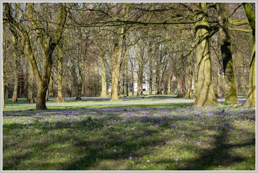 _DMB9042.jpg _DMB9042.jpg