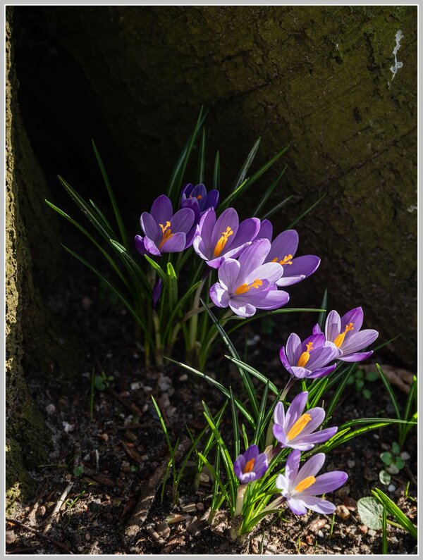 _DMB9051.jpg _DMB9051.jpg