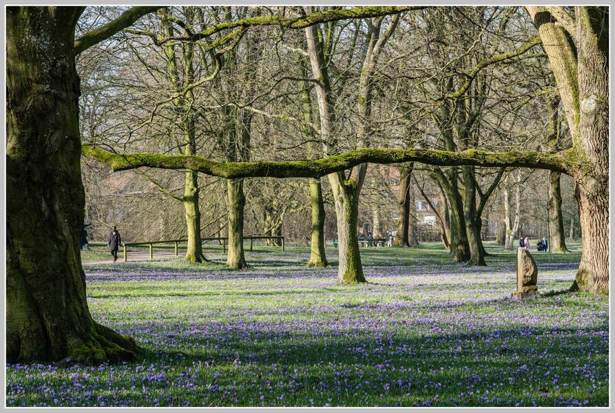 _DMB9067.jpg _DMB9067.jpg