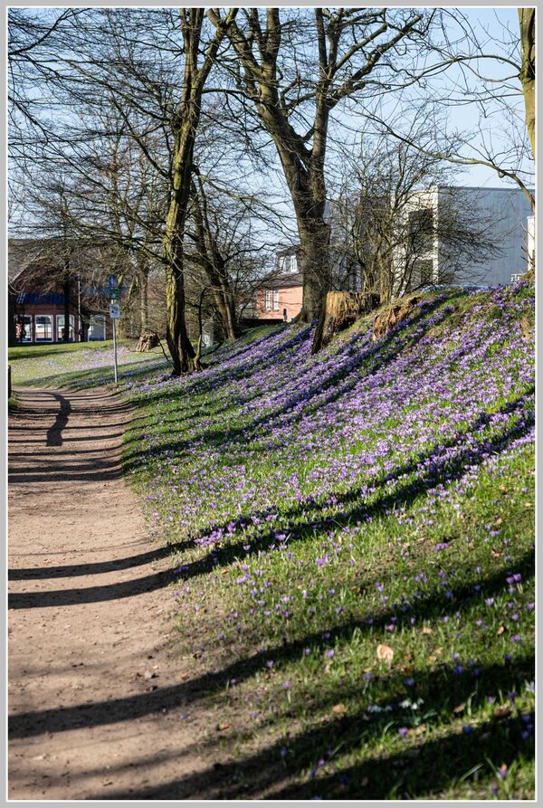 _DMB9073.jpg _DMB9073.jpg