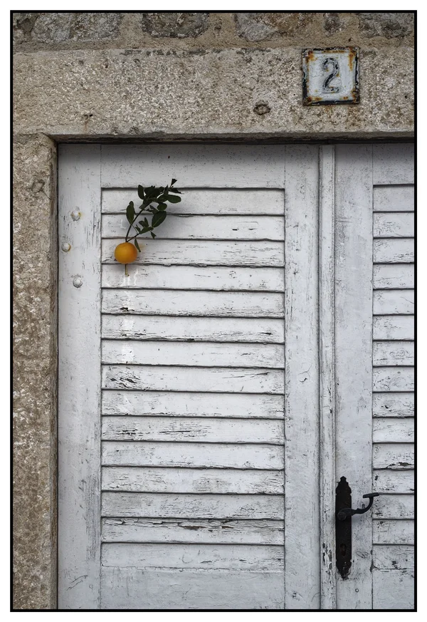 _IMG6207_DxO.jpg