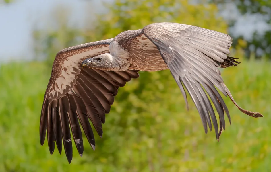 Gaia Park 22.05.10_0109.webp