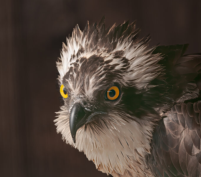 Straelen 21.05.09_0007-Bearbeitet.jpg