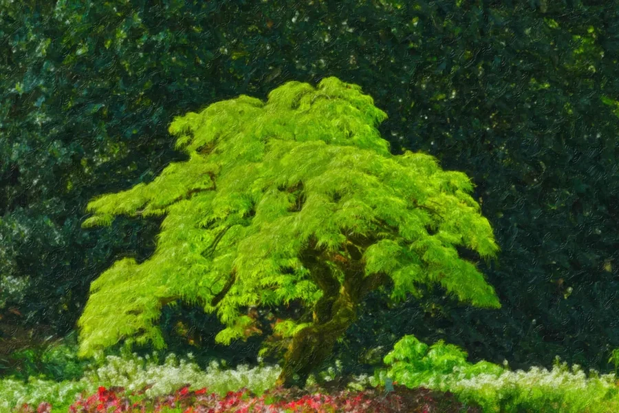 BaumgrünGROSSBonsaiBGSL3SSi100400ARTWORK.webp
