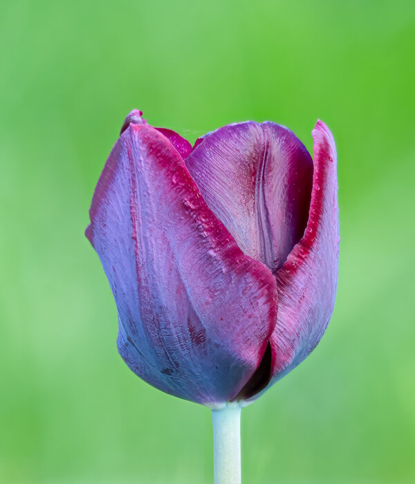 2025-04-27 11-37-44 (C,S4)-Bearbeitet.jpg