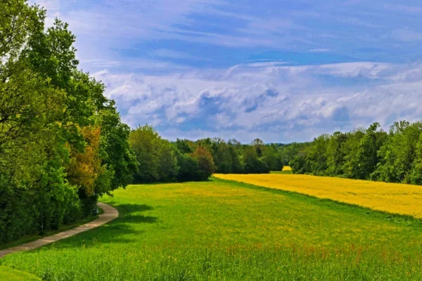 FeldRapsmUmfeldLissfeldEINSV5FINFINFIN.webp