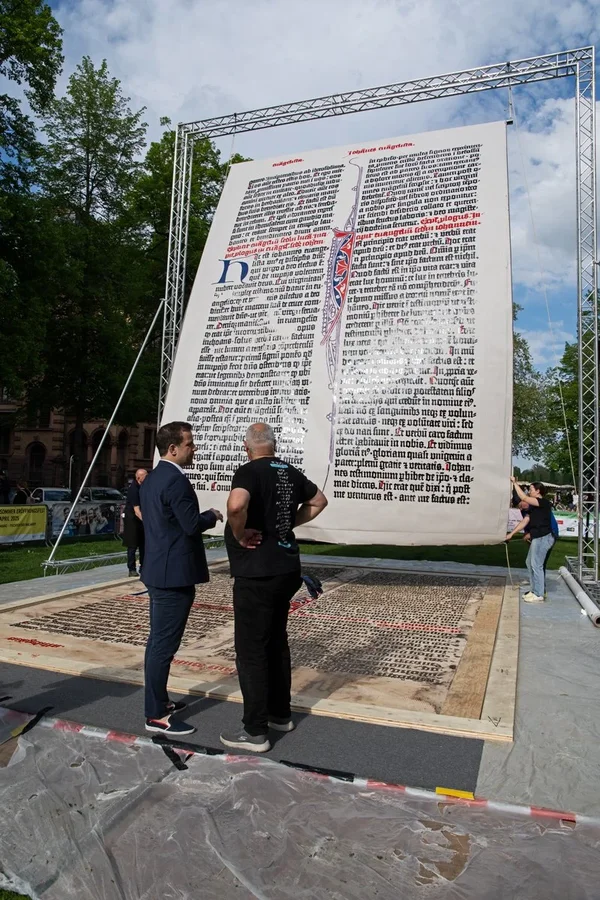 IMGP1651.webp