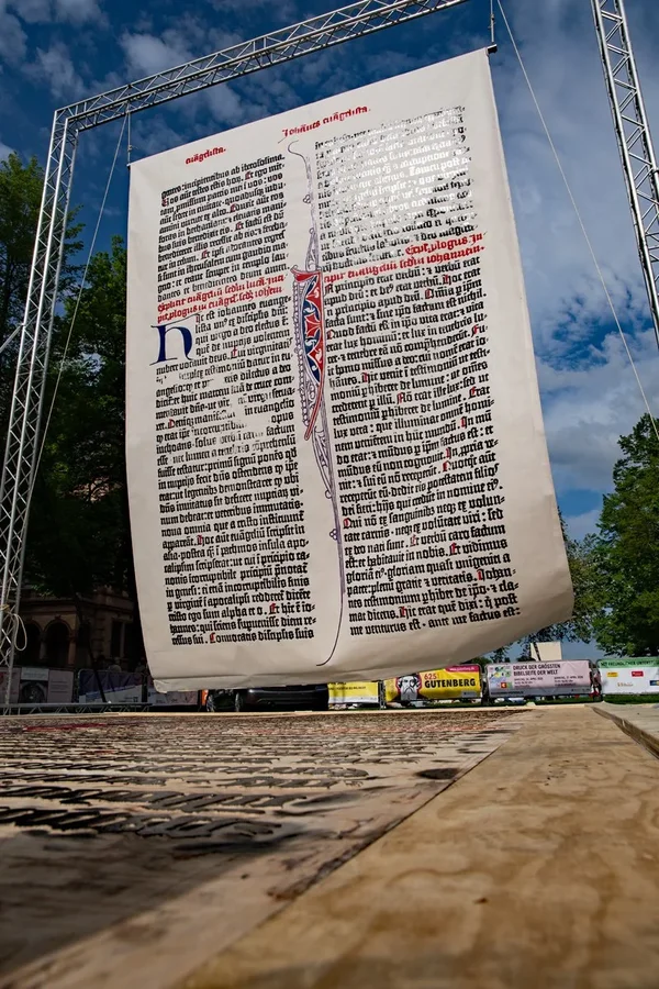 IMGP1644.webp